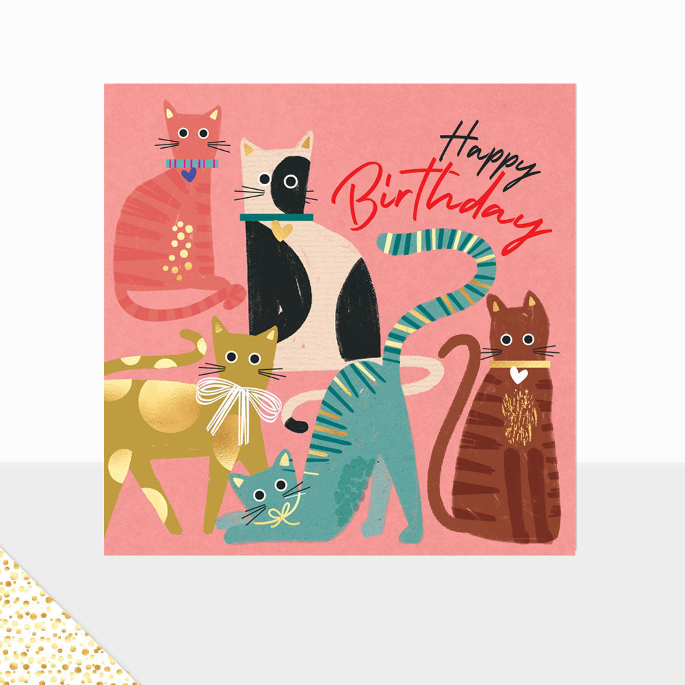 Aurora Happy Birthday Cats