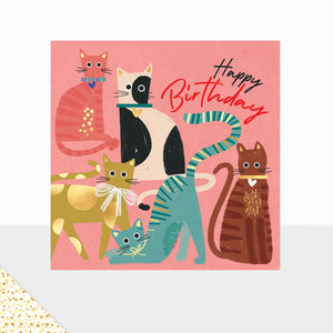 Aurora Happy Birthday Cats