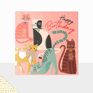Aurora Happy Birthday Cats