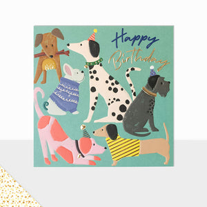 Aurora Happy Birthday Dogs