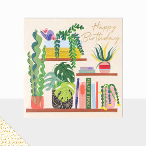 Aurora Happy Birthday Book Shelf