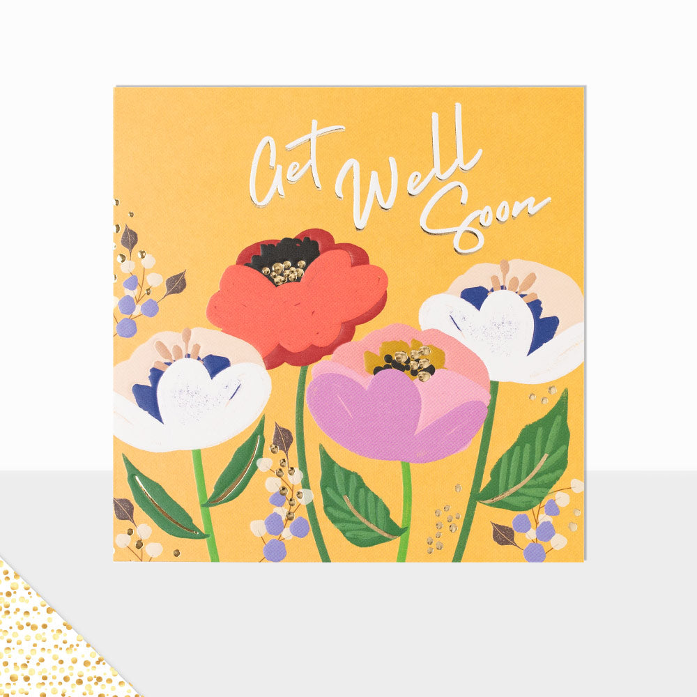 Aurora Collection Get Well Soon