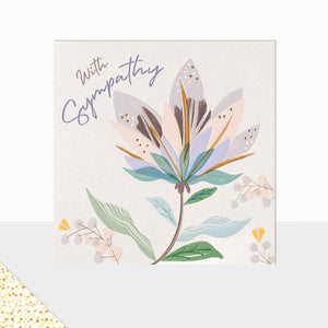 Aurora Collection With Sympathy