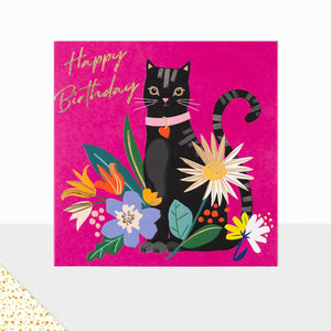 Aurora Happy Birthday Cat