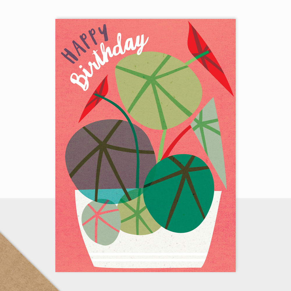 BL08-Happy-Birthday-Plant-01