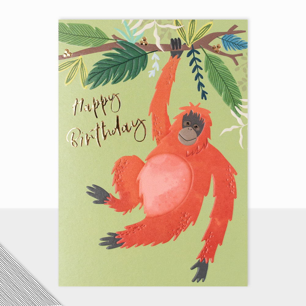 Kingdom Collection Happy Birthday Orangutan