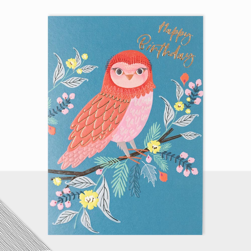 Kingdom Collection Happy Birthday Owl