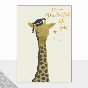 Kingdom Collection Graduation Giraffe